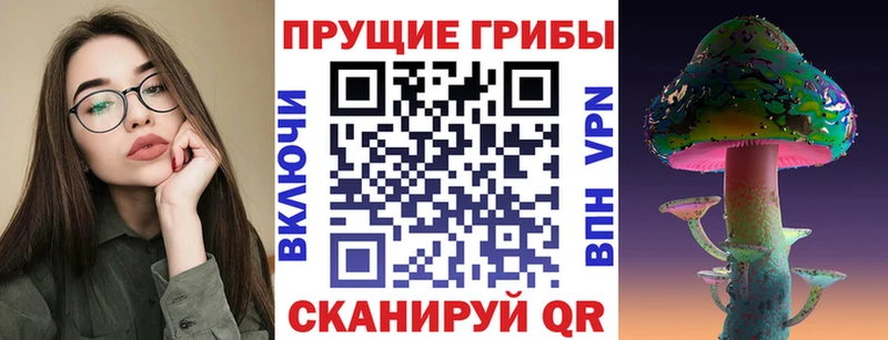 купить   Губкинский  блэк спрут вход  Галлюциногенные грибы ЛСД 