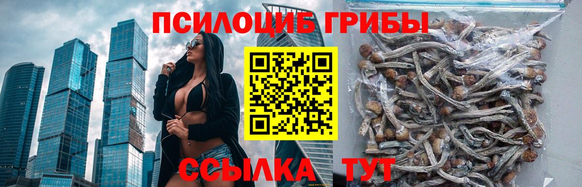 Галлюциногенные грибы мицелий Губкинский