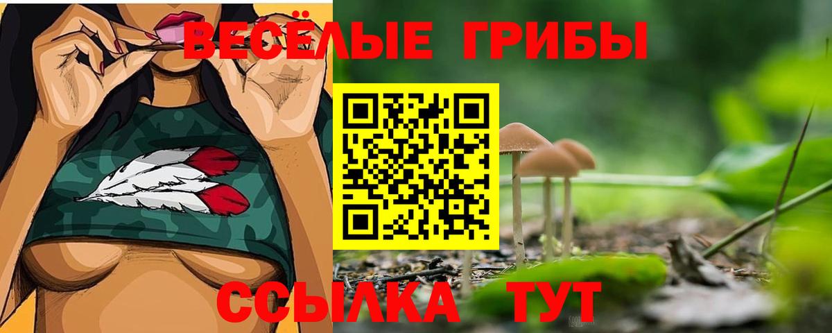 Галлюциногенные грибы Psilocybine cubensis  Вход с VPN  Губкинский 